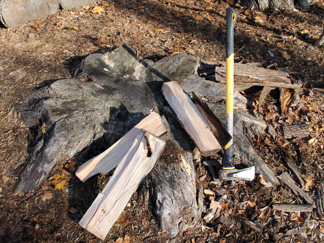 wood split over a stump