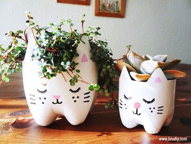 Soda bottle cat planter