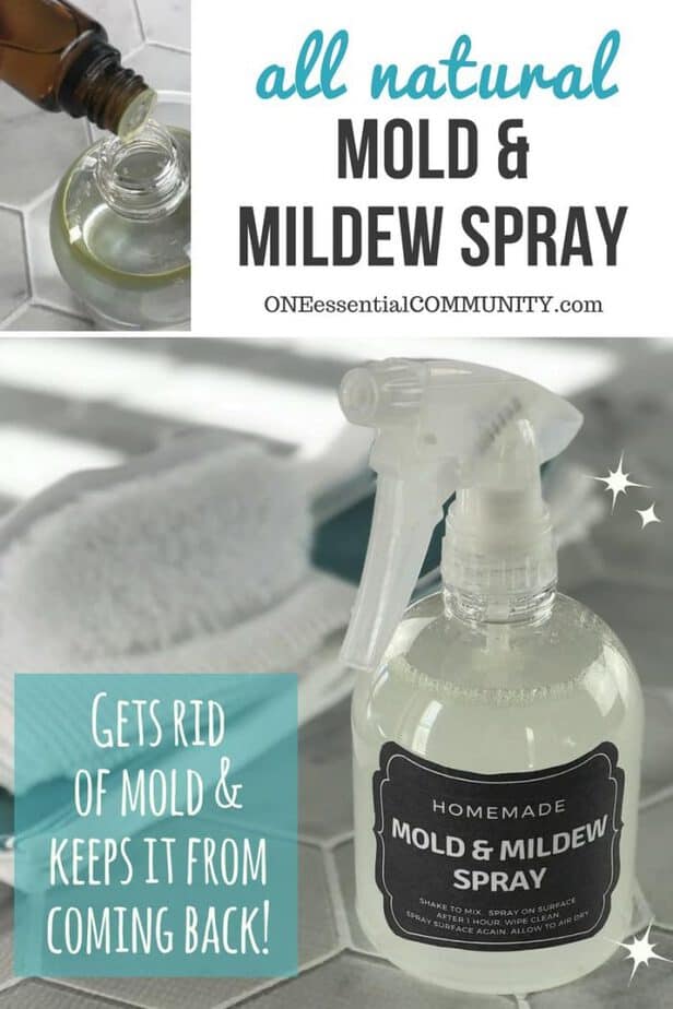 Homemade mold & mildew spray that