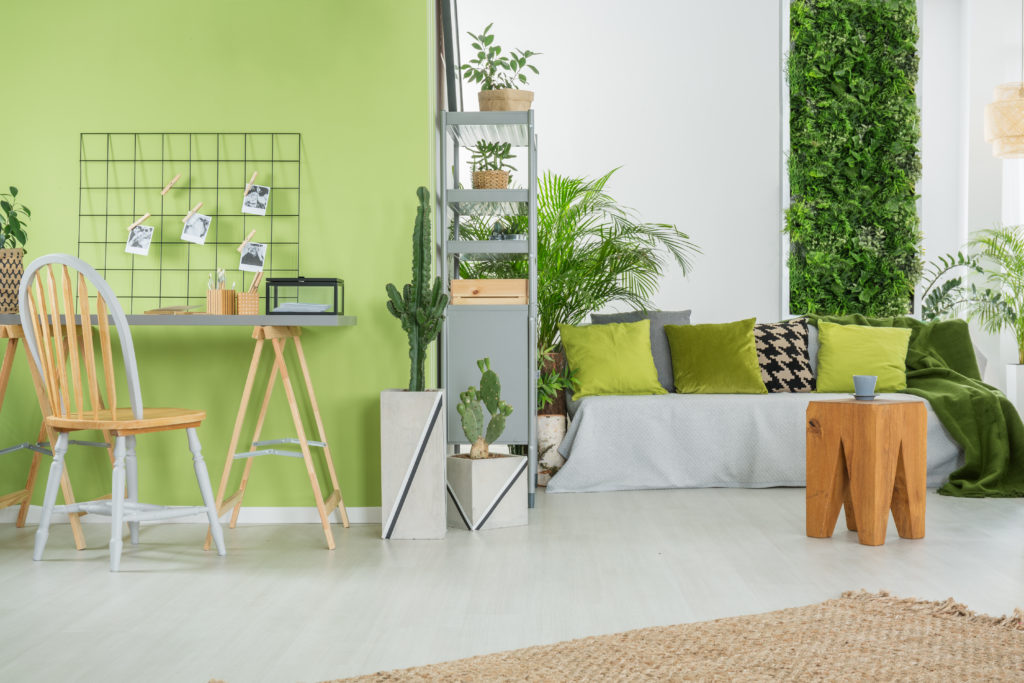Living room with lime green walls and various plants