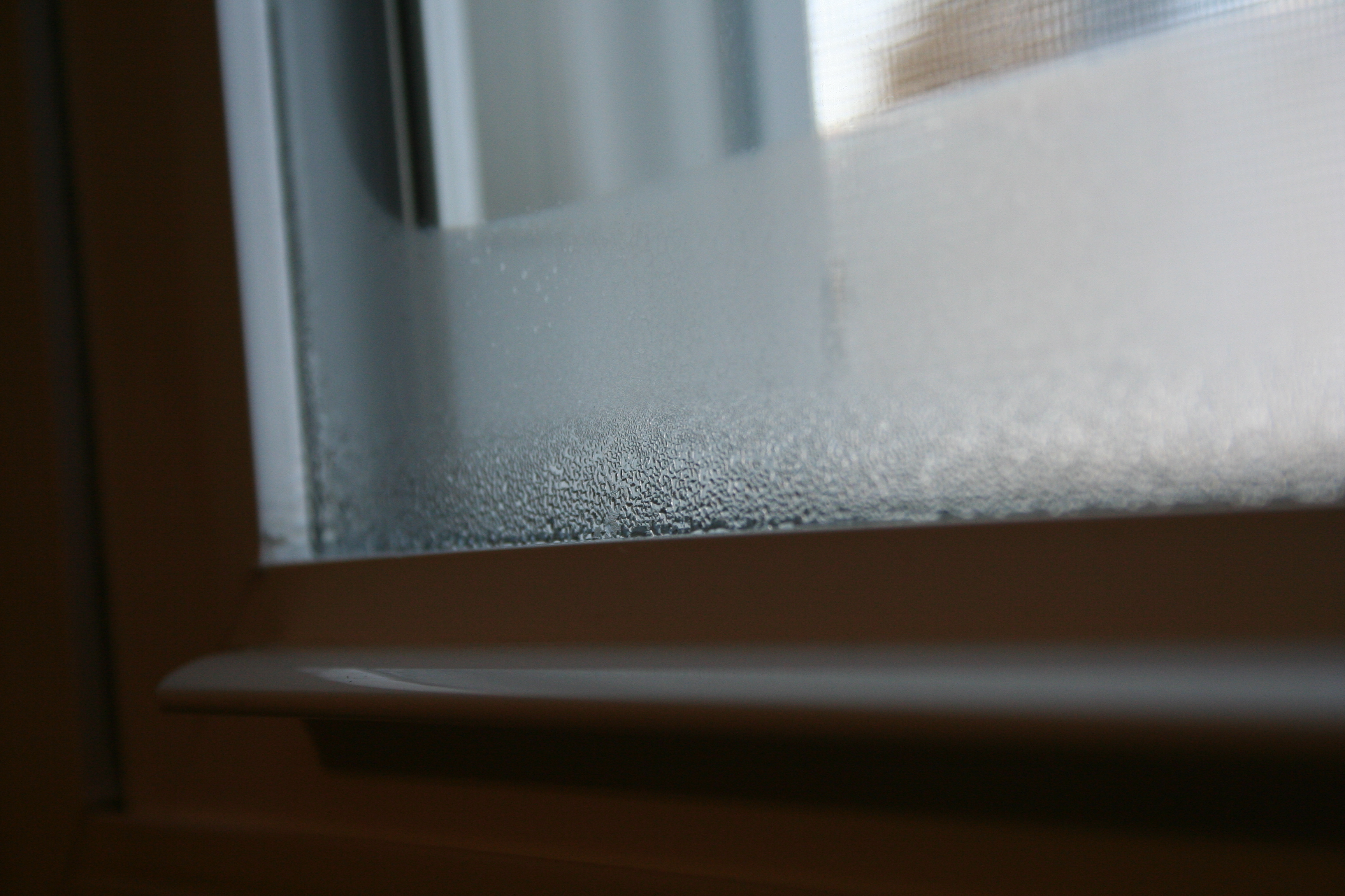 window condensation1